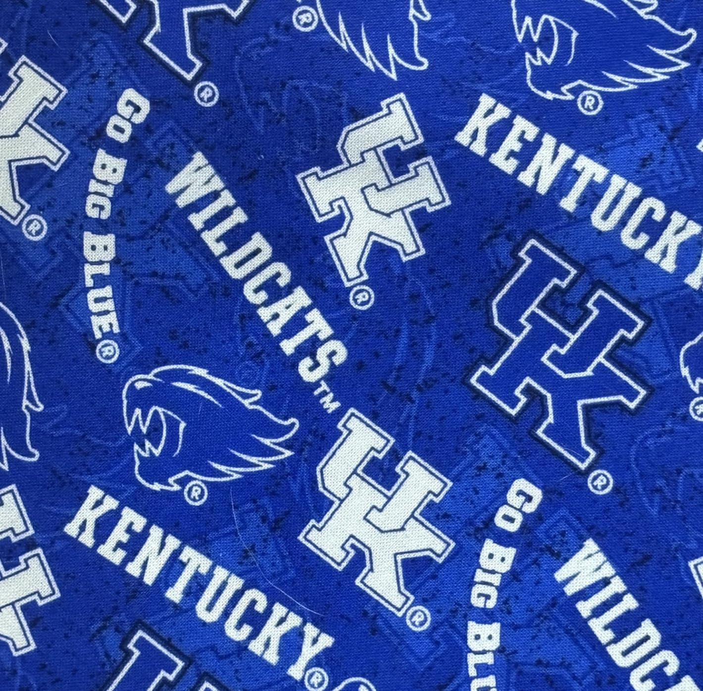 University of Kentucky Wildcats Dog Bandana (Large)