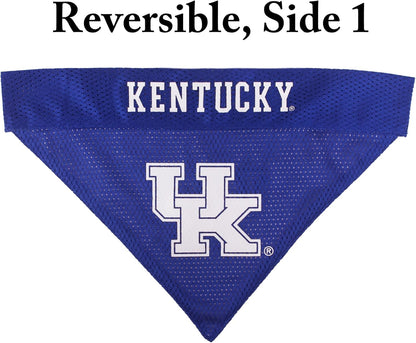 Collegiate Pet Accessories, Reversible Bandana, Kentucky Wildcats, Small/Medium